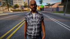 Bmost Textures Upscale для GTA San Andreas